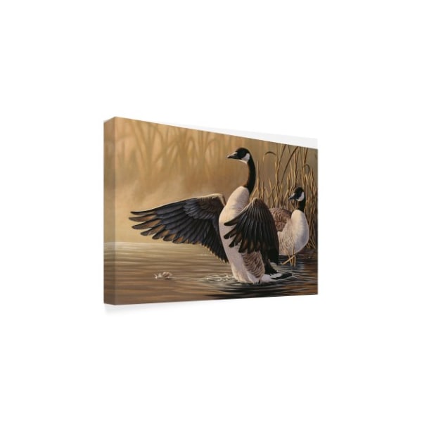 Wilhelm Goebel '1994 Canada Geese' Canvas Art,30x47